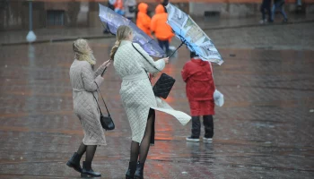 МЧС предупредило москвичей о сильном ветре 19 апреля