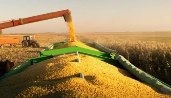 Литва возобновила закупки российского зерна