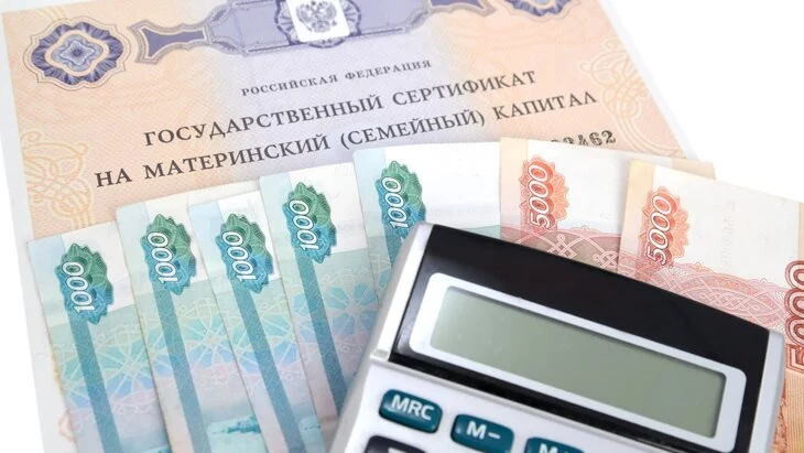 В МВД России назвали ущерб от хищений маткапитала на неродившихся детей