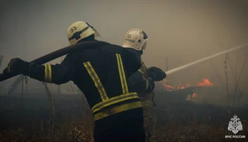 85 пациентов дома престарелых эвакуированы в поселке ЛНР из-за природного пожара
