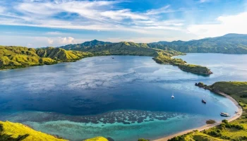 Землетрясение магнитудой 6,1 произошло у побережья Индонезии