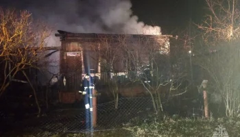 Четверо детей погибли в результате пожара в Воскресенске