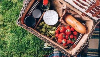 Врачи Малышева и Продеус предупредили о двух опасностях отдыха на природе