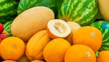 Около 47 тонн арбузов и дынь проданы на столичных ярмарках