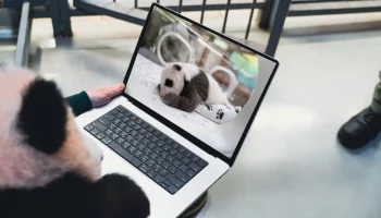 &laquo;Современный ребенок&raquo;: панде Катюше показали ее детские фото на ноутбуке