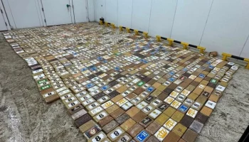 В порту Петербурга изъяли наркотики на 13 млрд рублей