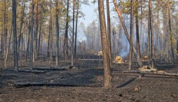 Часть жителей якутского села Оргет переселят из-за лесного пожара