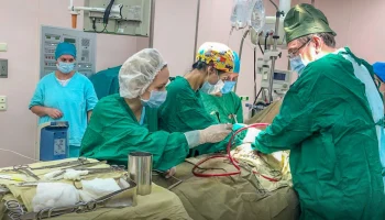 Собянин: Статус московской медсестры и медбрата получили еще 74 человека