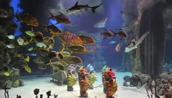 Сергей Собянин: "Москвариум" на ВДНХ празднует 10-летний юбилей