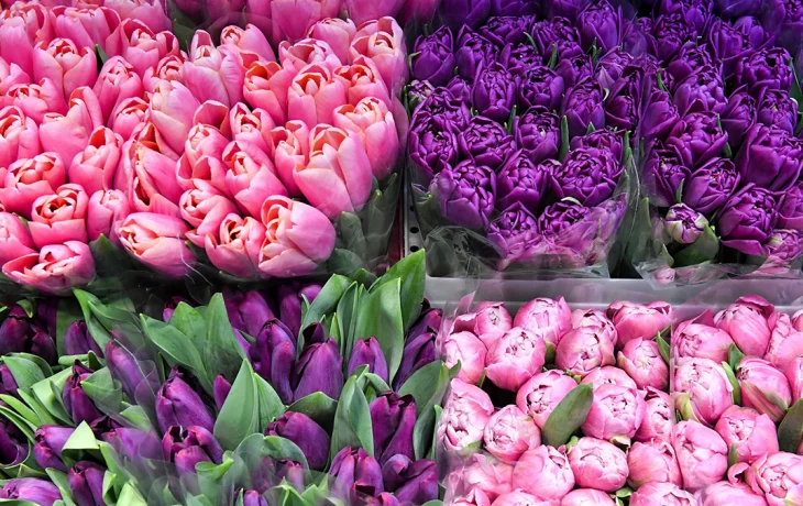 Цветочную инсталляцию установили в преддверии 8 Марта в ММКЦ «Коммунарка» Цветочную инсталляцию установили в преддверии 8 Марта в ММКЦ «Коммунарка»