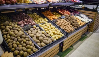 Эксперт Богданов: цена на картофель снизилась на фоне сокращения доли импорта овощей