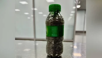 Радиоактивный вулканический песок нашли у пассажирки на таможне в Домодедово