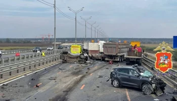 Семейная пара и их сын погибли в массовом ДТП на трассе М-2 "Крым" в Подмосковье