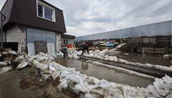 Правительство Курганской области заявило о ликвидировании протечки под дамбой