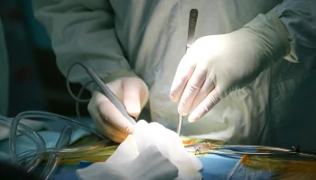 Московские врачи прооперировали девушку, которую пытался убить ее бывший парень Московские врачи прооперировали девушку, которую пытался убить ее бывший парень