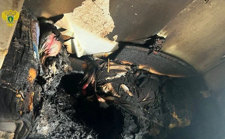 Женщина погибла в результате пожара в квартире дома в Зеленограде Женщина погибла в результате пожара в квартире дома в Зеленограде