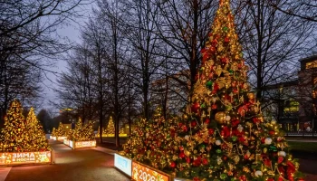 Елки &laquo;Зимы в Москве&raquo; украсили в стиле городских проектов