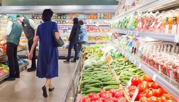 Город выставит на торги по аренде три земельных участка в ТиНАО