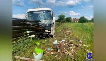 Автобус съехал в кювет из-за осы в Самарской области
