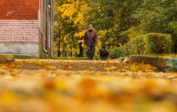 Синоптики сообщили о пасмурной и сухой погоде в Москве 20 октября Синоптики сообщили о пасмурной и сухой погоде в Москве 20 октября