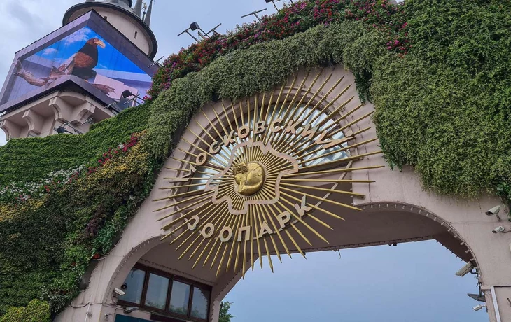 Три голубых ягненка родились в Московском зоопарке Три голубых ягненка родились в Московском зоопарке