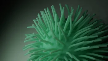 Первый случай смерти от вируса Alaskapox зафиксировали в США