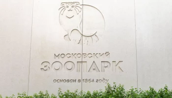 &laquo;Наша красавица&raquo;: в Московском зоопарке показали вблизи бурую гиену Ладу