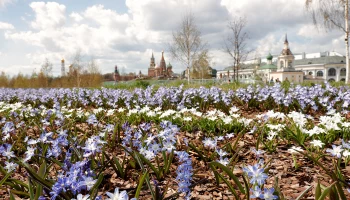 Синоптики сообщили о теплой и солнечной погоде в Москве 18 мая