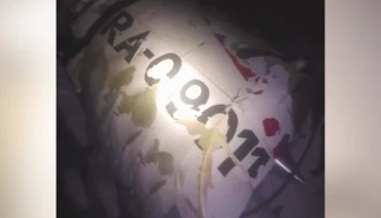 Летевшая на разбившемся в Афганистане самолете семейная пара погибла