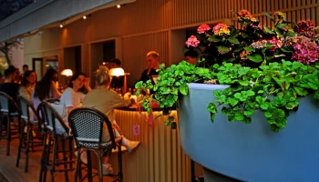 Владимир Перельман рассказал, как развивается ресторанный бизнес в Москве