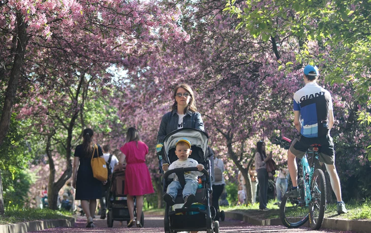 Синоптики спрогнозировали до 23 градусов тепла в Москве 30 апреля Синоптики спрогнозировали до 23 градусов тепла в Москве 30 апреля