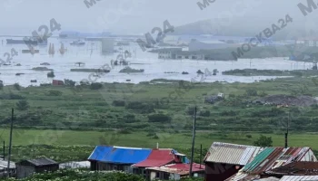 Высота цунами у побережья Камчатки могла достигать 10&ndash;15 метров