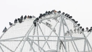 Синоптики сообщили о пасмурной погоде и небольшом снеге в Москве 10 декабря