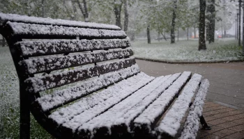 Синоптик Позднякова рассказала, когда в Москве выпадет первый снег