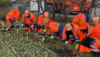 Москвичам рассказали о подготовке цветников к весенне-летнему сезону