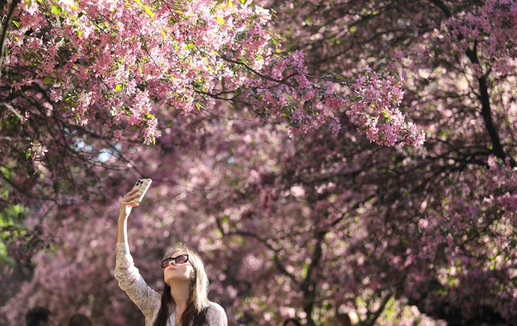 Синоптик Ильин рассказал о погоде в Москве на майских праздниках Синоптик Ильин рассказал о погоде в Москве на майских праздниках