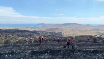 Лесной пожар в районе Тепе-Оба в Крыму локализован на площади 150 га