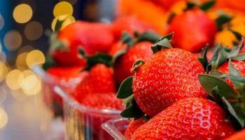 На московских ярмарках появились малина и клубника ремонтантных сортов