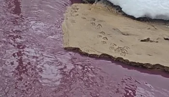 Прокуратура Москвы проверит загрязнение реки Сетуни в районе улицы Верейской