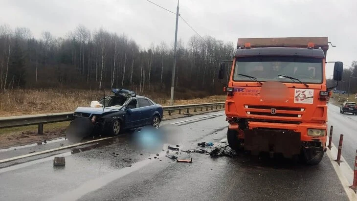 Наезд на лося привел к смертельному ДТП с грузовиком в Новгородской области Наезд на лося привел к смертельному ДТП с грузовиком в Новгородской области