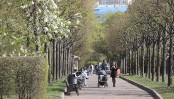&laquo;Положительная аномалия&raquo;: Леус рассказал о погоде в Москве в апреле