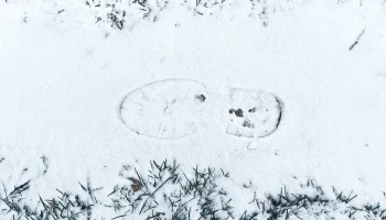 Синоптик Цыганков рассказал, когда Москву накроет снегом