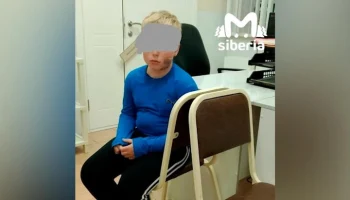 Бродячая собака напала на восьмилетнего мальчика в Омске