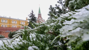 Синоптики рассказали об облачной погоде с небольшими осадками в Москве 10 января