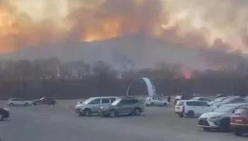 Более 15 строений уничтожены в Приморье в результате ландшафтных пожаров