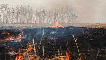 Режим ЧС введен в Забайкальском крае из-за лесных пожаров