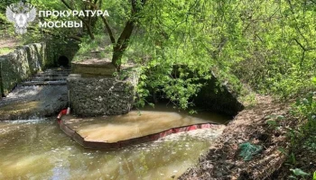 Прокуратура Москвы начала проверку после информации о загрязнении реки Очаковки