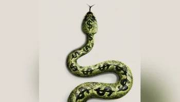 Издание Economist представило обложку с долларом в виде змеи как мировой угрозы