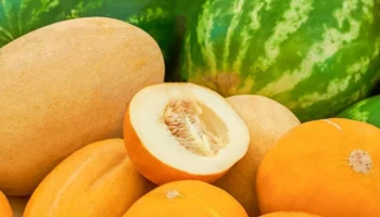 Первые арбузы и дыни появились на московских ярмарках выходного дня