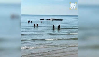 Пять человек погибли при падении самолета в Таиланде